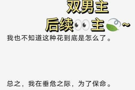 男命双桃花，如何应对爱情中的多重压力