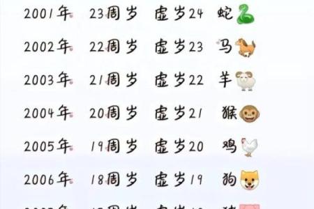 本命年龙女如何做好职场风险管理