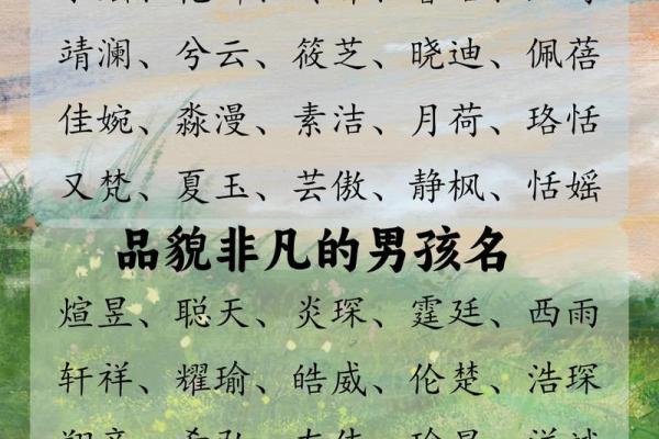 邹宝宝起名技巧：融合传统与现代的完美选择