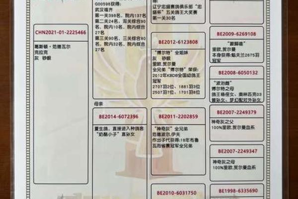 从传统到现代，鸽子名字推荐让你的羽翼更有魅力