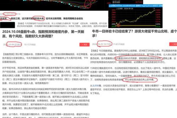 S命是什么含义及其背后的深层含义解析 S命是什么含义及其背后的深层含义解析
