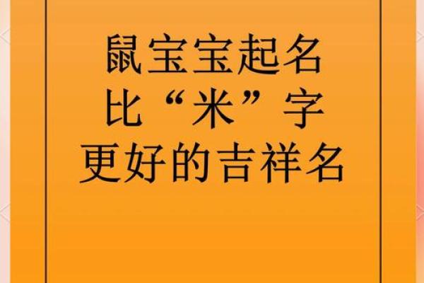 柏姓鼠宝宝起名指南：为你的宝贝挑选寓意美好的名字