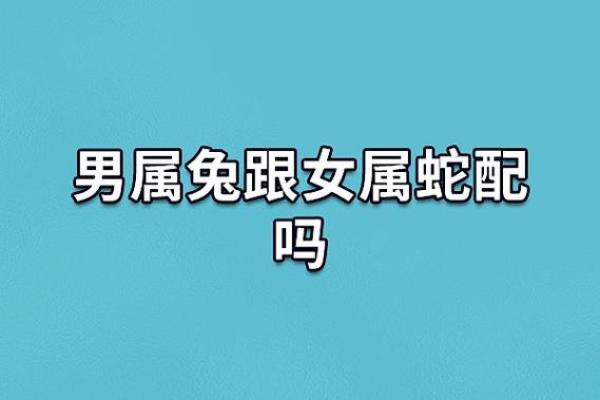 蛇女本命年如何避免不必要的风险 蛇女本命年如何避免不必要的风险