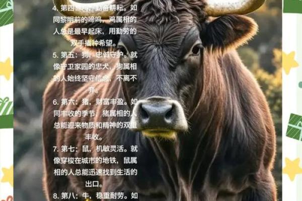 本命年羊女如何顺利走过生活的波折