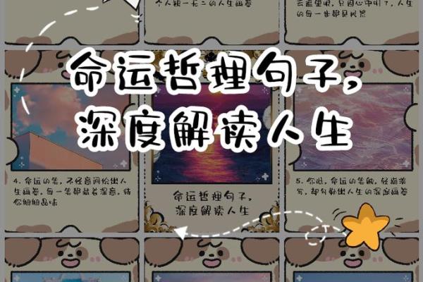 出生的命运特点与人生解析 出生的命运特点与人生解析