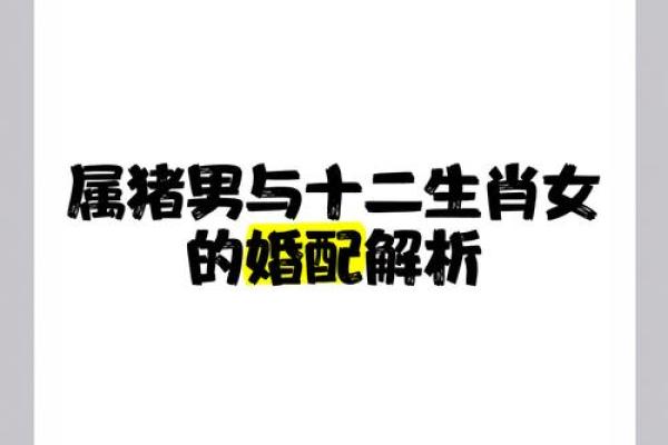 男属猪女属虎婚配是否和谐解析