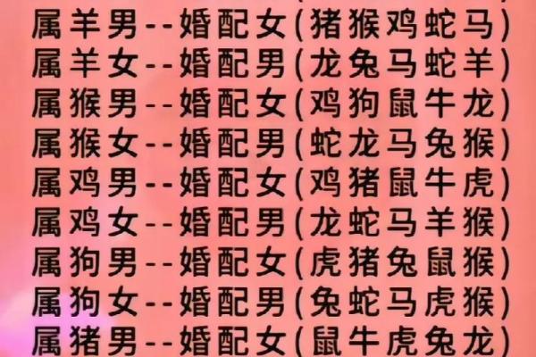 男属猪女属虎婚配是否和谐解析