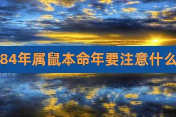 属鼠本命年如何保持内心平衡 属鼠本命年如何保持内心平衡