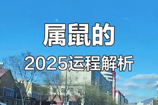 属鼠人运势详解:迎接挑战与机遇 属鼠人运势详解:迎接挑战与机遇
