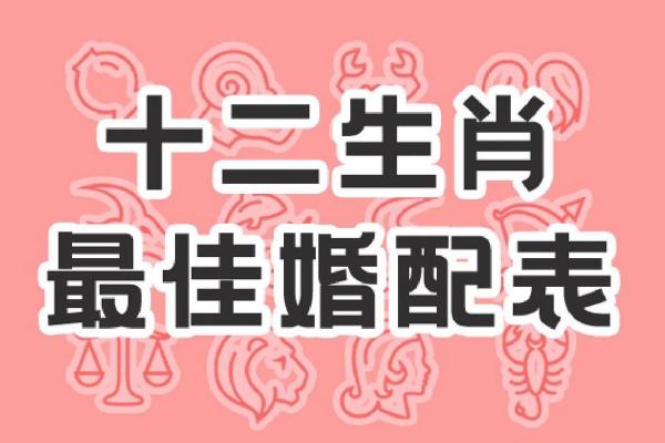 分析属虎与属狗的缘分和相处之道 分析属虎与属狗的缘分和相处之道