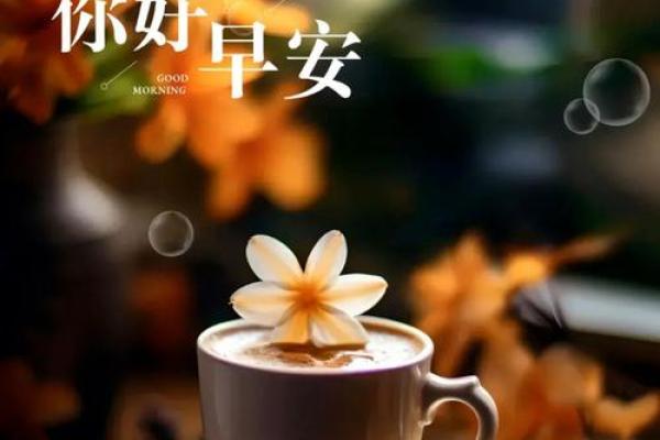 如何在农历二月抓住春天的第一缕阳光