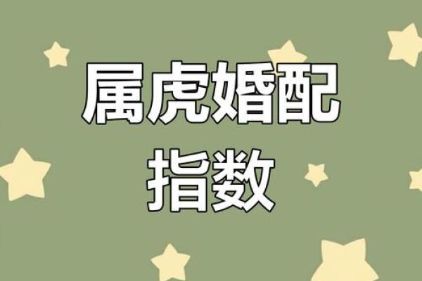 本命年属虎人的婚姻与感情运势 本命年属虎人的婚姻与感情运势