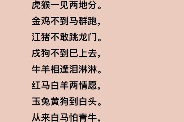 从兔鼠相配看婚姻中的互补与矛盾 从兔鼠相配看婚姻中的互补与矛盾