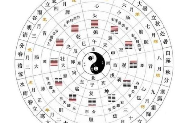 农历是阴历还是阳历？一文带你搞懂