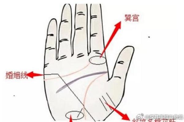 男命双桃花与感情纠葛的复杂性