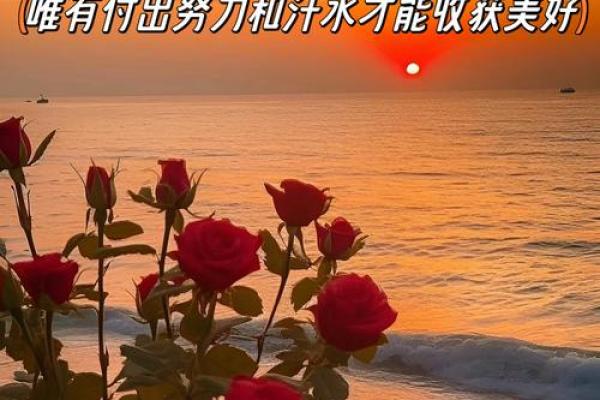 程程名字寓意：寓意着希望与成长的力量