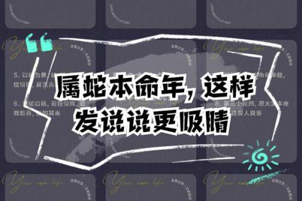 本命年蛇男的未来展望与长远规划