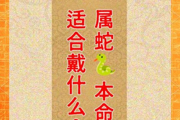本命年蛇男的未来展望与长远规划
