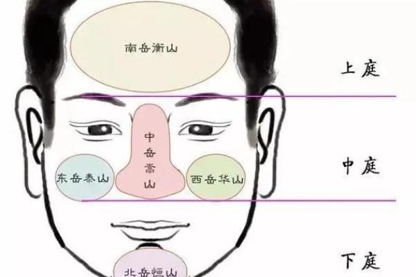 镈字五行解析:如何影响你的命运运势 镈字五行解析:如何影响你的命运运势