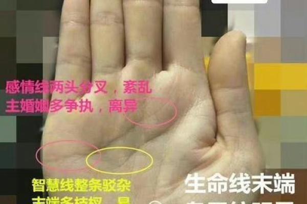 从断掌看命运的转折与挑战 从断掌看命运的转折与挑战