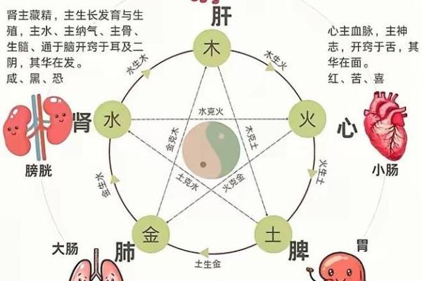 从阴阳五行看五种元素在你生活中的作用 从阴阳五行看五种元素在你生活中的作用