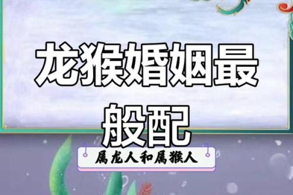 属龙与属蛇的配对解析：是否天作之合？