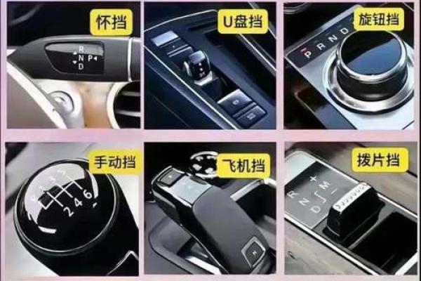 车子名字的魅力:如何从品牌中感受到独特的驾驶体验 车子名字的魅力:如何从品牌中感受到独特的驾驶体验