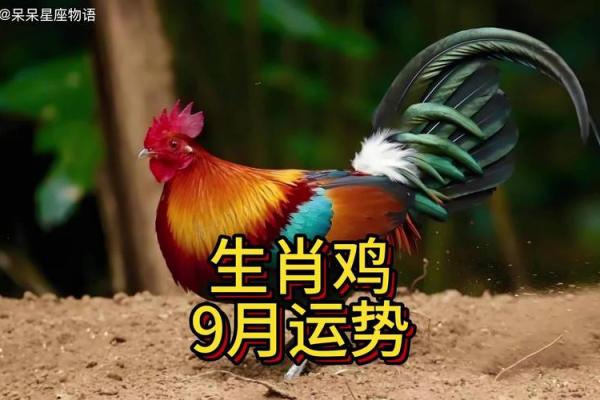 属鸡人在不同月份的运势波动与应对策略 属鸡人在不同月份的运势波动与应对策略
