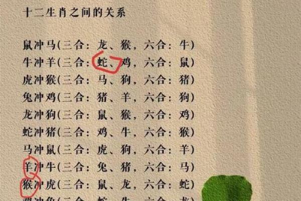 出生的属相命运及五行特点分析 出生的属相命运及五行特点分析