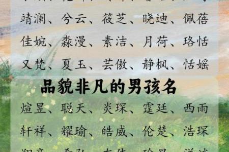 邹宝宝起名技巧：融合传统与现代的完美选择