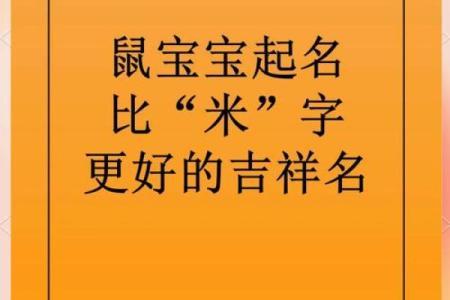柏姓鼠宝宝起名指南：为你的宝贝挑选寓意美好的名字