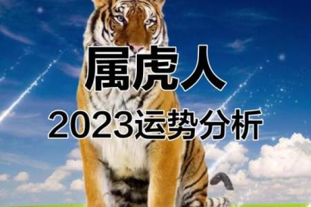 属虎的人运势如何