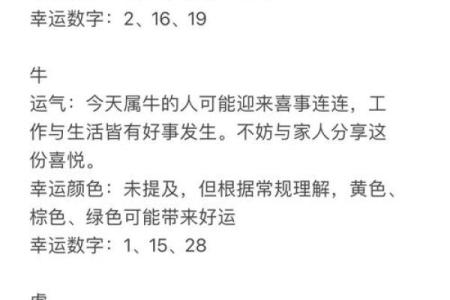 属相运势详解：你的运程会如何起伏
