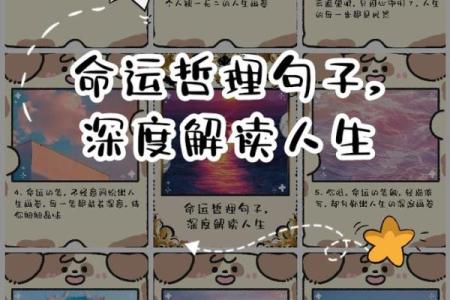 出生的命运特点与人生解析