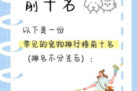 宠物名字大全，打造属于你的小可爱