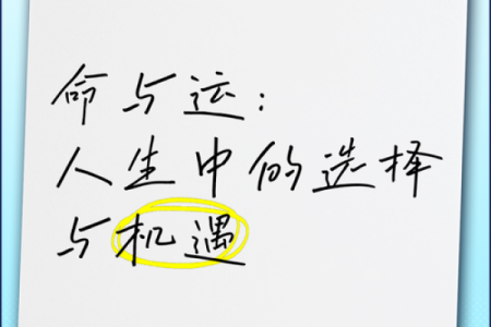 从命运到运势：如何理解人生中的运与命