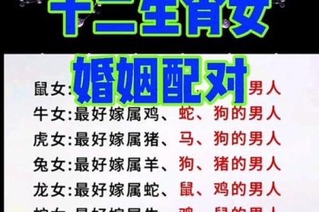 兔男狗女配对分析 星座性格如何影响婚姻质量