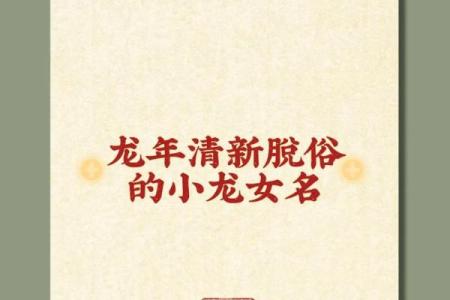 龙女本命年的事业规划建议
