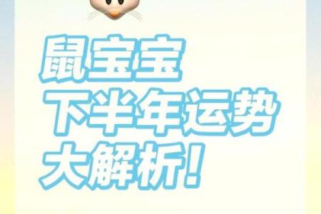 属鼠人运势详解：迎接挑战与机遇