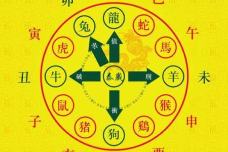 十二生肖整体运势预测