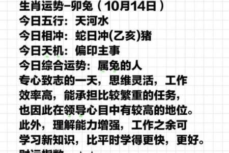 兔男本命年如何规划自己的未来