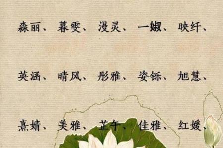 宝宝名字的命名艺术：丛修寓意及选名建议