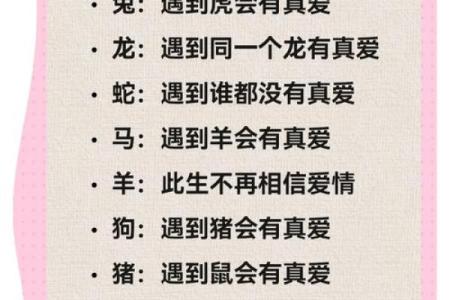 揭秘十二生肖配对，哪些生肖最有缘分
