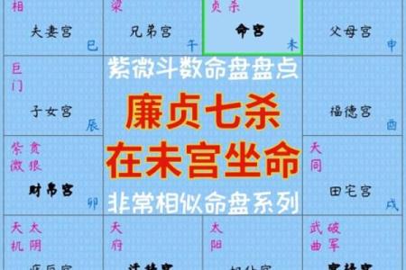 诚字命运解析：属于哪种命格类型