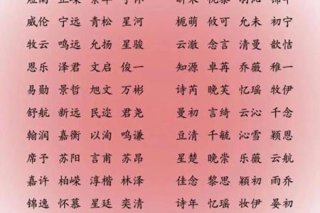 左姓宝宝名字的独特选择与寓意解析