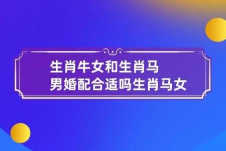 属马男与属猪女的缘分：两者是否能携手共度一生