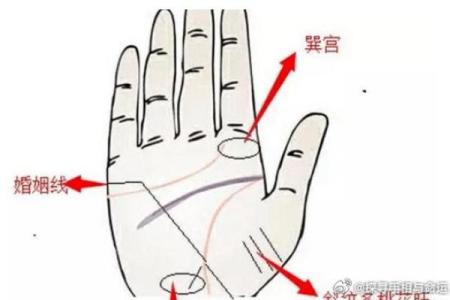 男命双桃花与感情纠葛的复杂性