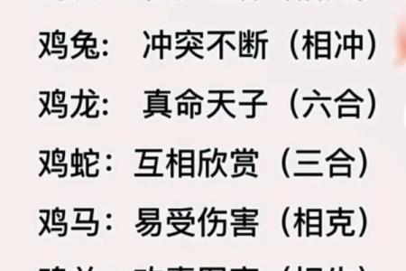 十二生肖运程解析：各属相的幸运与挑战