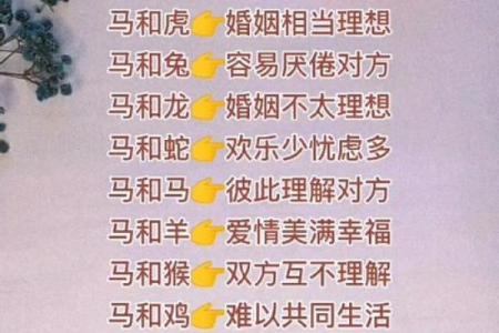 属马与属兔的缘分如何 适合做伴侣吗