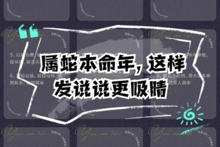 本命年蛇男的未来展望与长远规划